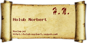 Holub Norbert névjegykártya